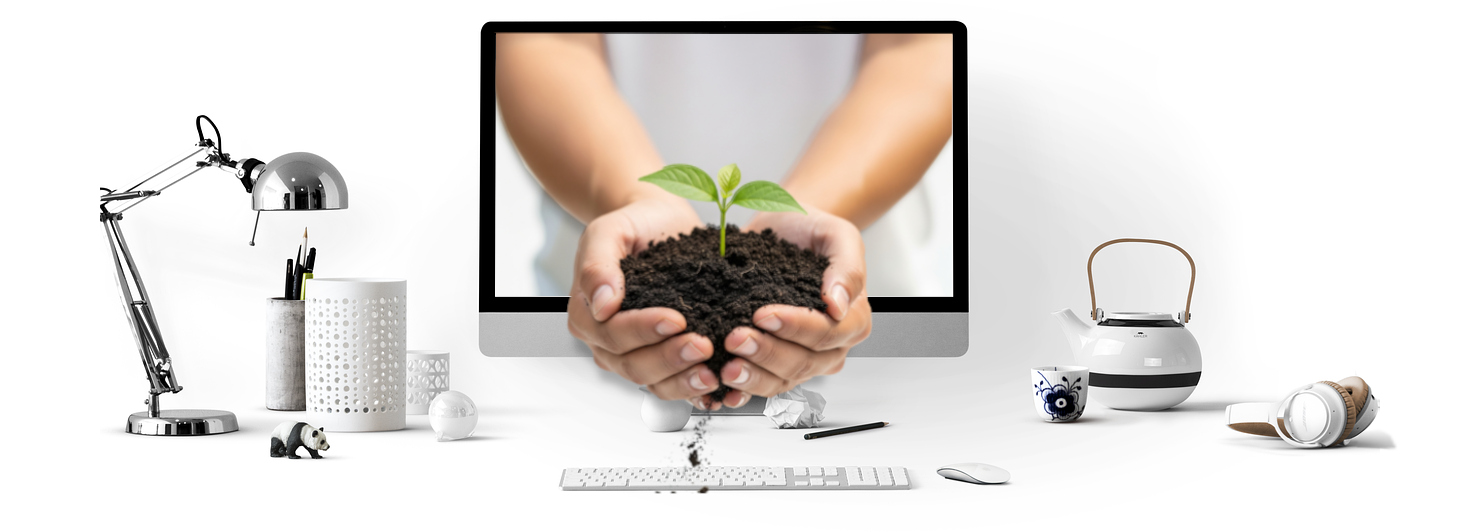 uprawa roślin na blakonie i uprawa roślin w szklarni